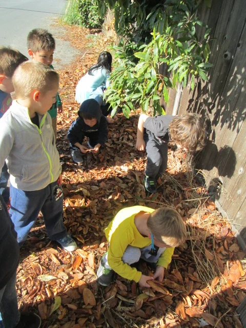 Outdoor play and developmental activity environment for Coastside Children's Prog-Half Moon Bay (Coastside Children's Programs).