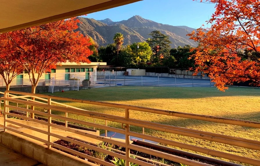 Outdoor play and developmental activity environment for Stratford School (Stratford School).